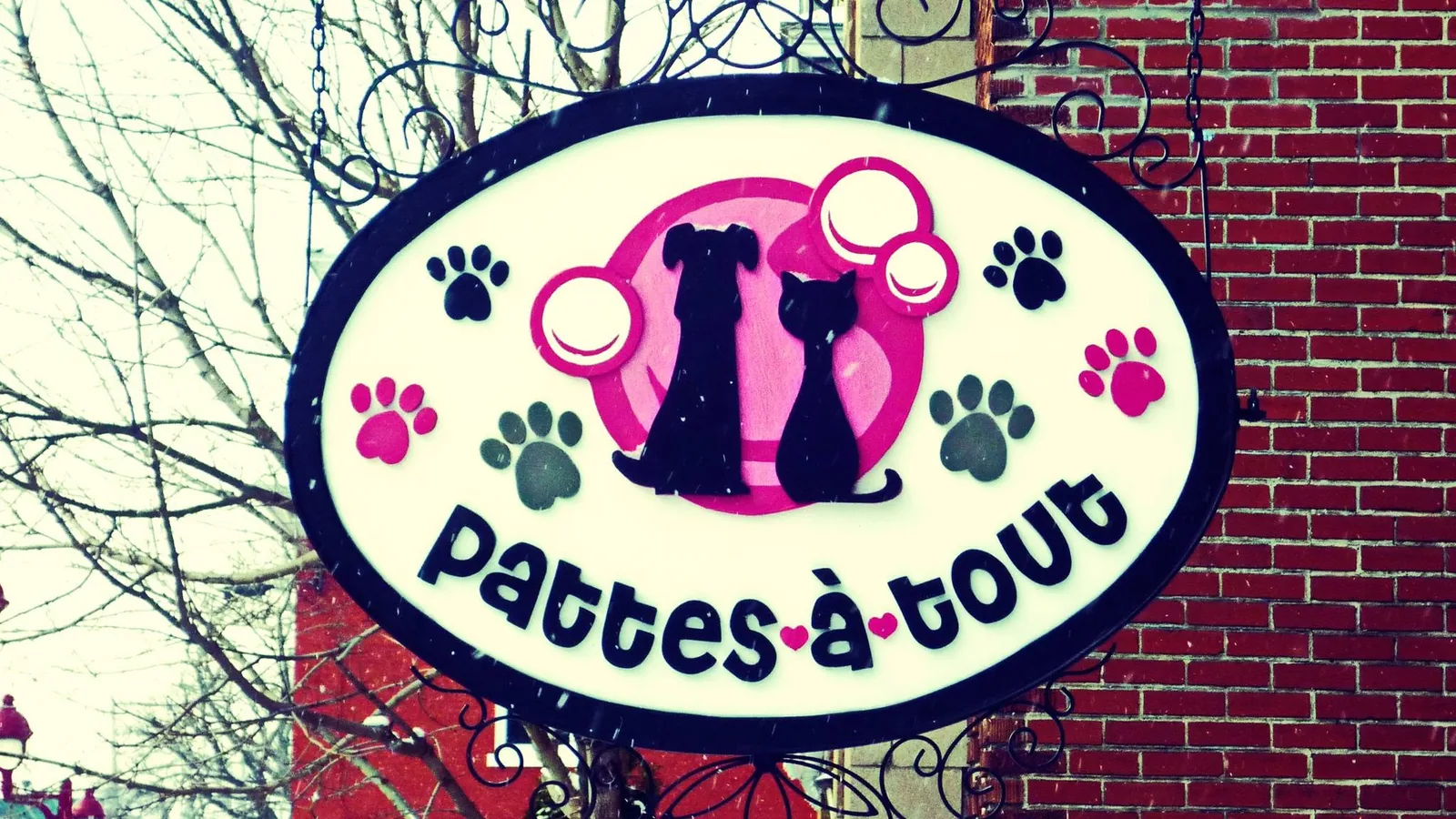 Enseigne ovale peinte à la main de Pattes-à-tout : un chien et un chat en silhouette, entourés d'empreintes de pattes roses et noires.